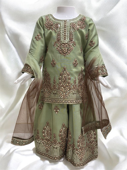 Embroidery Plazo Set = aj = 3271